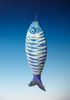 Photo of Hanging Fish