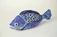 Photo of Spotty blue fish